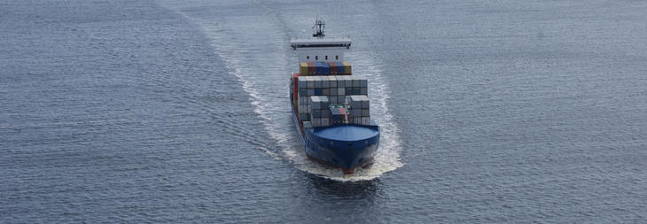 Containerskip inn Larviksfjorden